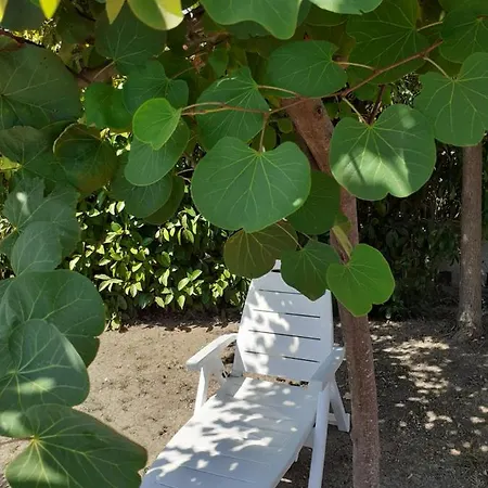 Harrisma Acharavi (Corfu)